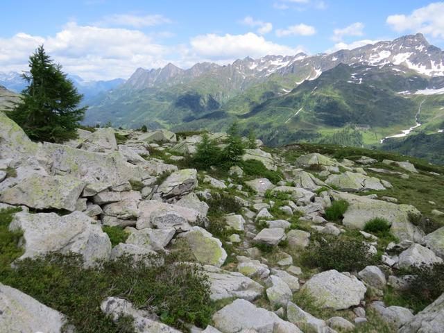 während dem Abstieg schweift der Blick über das Val Bedretto