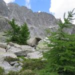 Blick zum Poncione di Cassina Baggio. Dahinter befindet sich der Chüebodengletscher