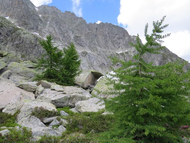 Blick zum Poncione di Cassina Baggio. Dahinter befindet sich der Chüebodengletscher