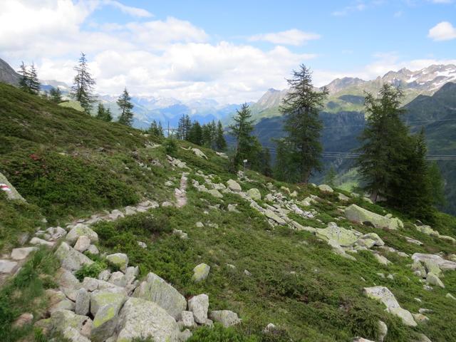 bei Punkt 2076 m.ü.M. stösst von rechts der normale Wanderweg wieder hinzu. Die Schlaufe hat sich allemal gelohnt