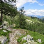 ...Gegend auf der Alpe di Rotondo und Piansecco zu einem Schmuckstück