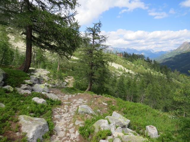 ...Gegend auf der Alpe di Rotondo und Piansecco zu einem Schmuckstück