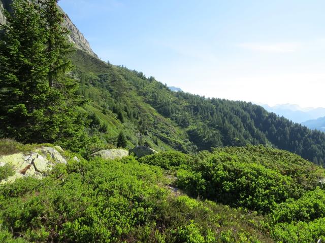 in leichtem Auf und Ab durchqueren wir die Alpe di Rotondo