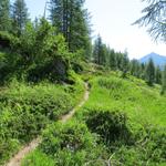 auf dem Weg zur Alpe di Ruino