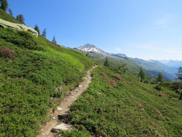 ...liegende Sentiero Alto Val Bedretto ist empfehlenswert