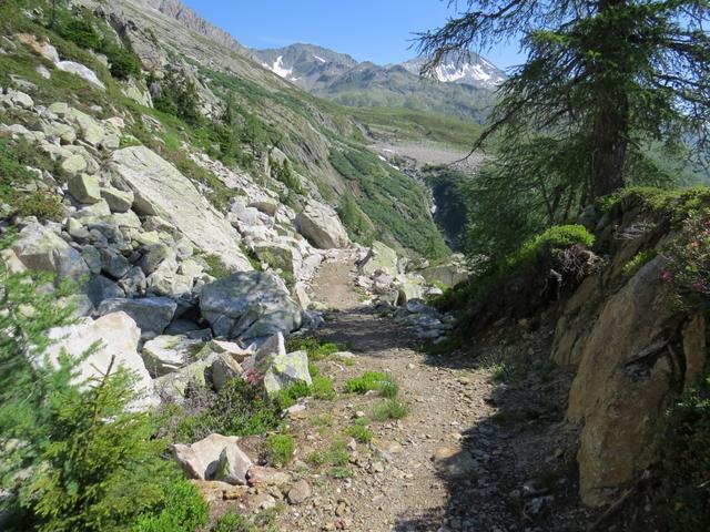 der schöne und einfache Wanderweg findet kurz vor der Alpe di Ruino ein abruptes Ende