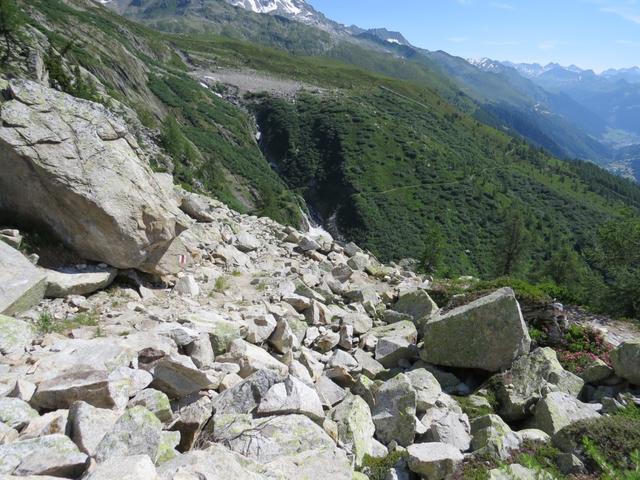 der Wanderweg führt uns nun durch ein steiles Geröll- und Blockschutthalde