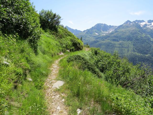 kurz vor der Alpe di Pesciora