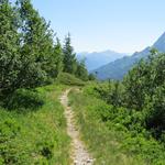 im Jahr 1998 wurde der Weg welcher vom Gotthardpass zum Nufenenpass, über die Piansecco Hütte führt, eingeweiht