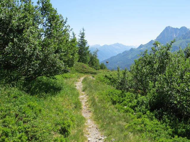 im Jahr 1998 wurde der Weg welcher vom Gotthardpass zum Nufenenpass, über die Piansecco Hütte führt, eingeweiht