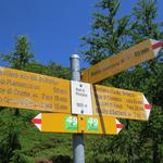 Weggabelung auf der Alpe di Pesciora 1920 m.ü.M. geradeaus geht es weiter Richtung Gotthardpass