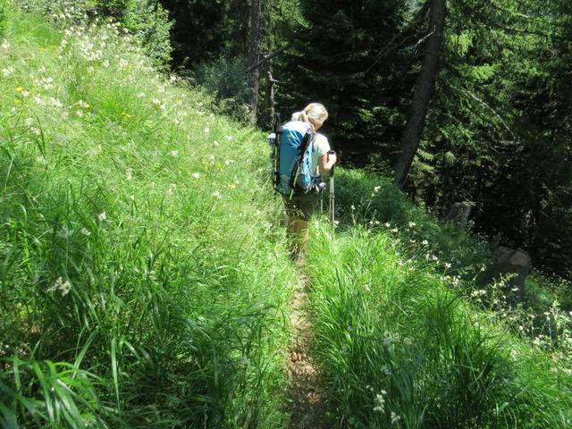 ...so sind die Wanderungen im Tessin