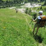 bei Punkt 1630 m.ü.M. lassen wir den Wald hinter uns und durchqueren eine schöne Blumenwiese