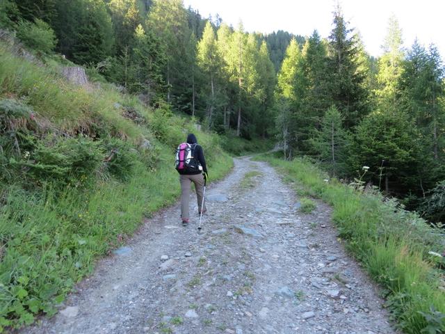 wir laufen der gerölligen Alpstrasse die einen grossen Bogen macht aufwärts...