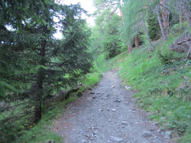 ..und erreichen bei Punkt 1876 m.ü.M. das Ende der Fahrstrasse