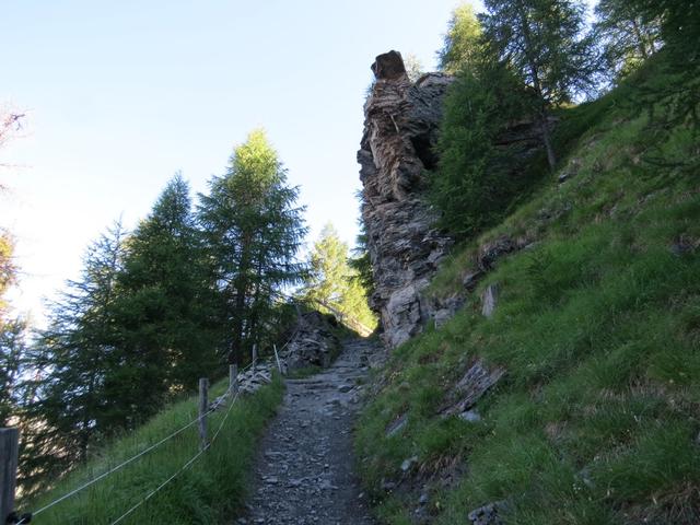 wir folgen einen breiten Weg, der uns durch einen schönen Mischwald...