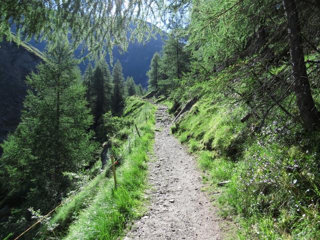 der malerische Alpweg läuft sanft ansteigend...