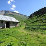 bei den Alpgebäuden auf Alp Tomül