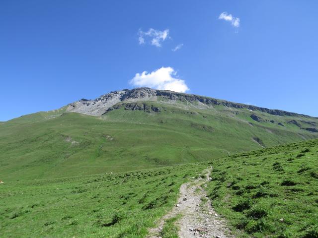 während dem wandern schweift unser Blick hinauf zum Piz Tomül, Tomülhorn oder Wissensteinhorn