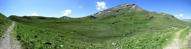 schönes Breitbildfoto mit Blick auf Alp Tomül und Tomülhorn