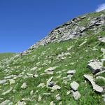 nach einer kurzen Rast umlaufen wir vom Pass in Blickrichtung zu dem von hier nicht einsehbaren Tomülhorn...