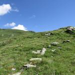 ...zunächst mehr oder weniger weglos linkshaltend, die felsige Kuppe 2450 m.ü.M. über dem Standortschild