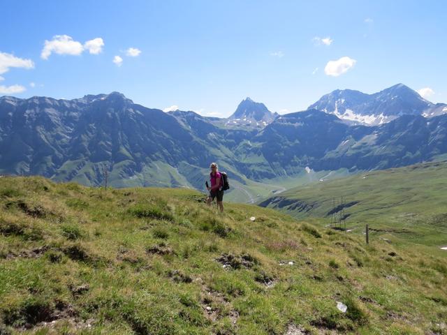 meine Maus. Am Horizont Bruschghorn, Gelbhorn, Pizzas d'Anarosa und Alperschällihorn