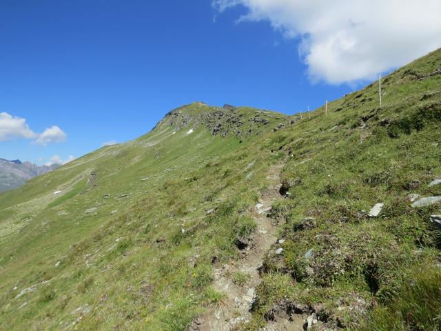 nach der zweiten Kuppe folgen wir noch etwa 150 m dem Weidezaun...