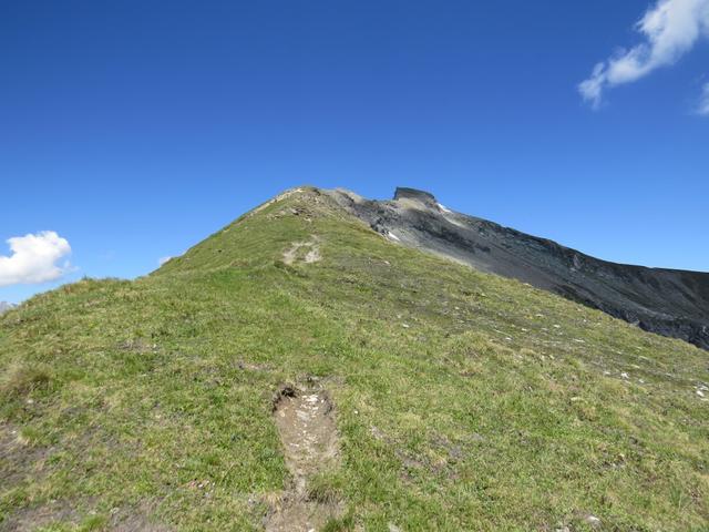 vom breiten und nicht ausgesetztem Grat, blicken wir hinauf zum Tomülhorn