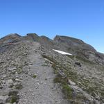 im felsigen Schuttbereich 2822 m.ü.M. unterhalb des Gipfels,...