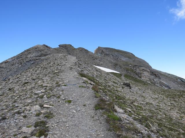 im felsigen Schuttbereich 2822 m.ü.M. unterhalb des Gipfels,...