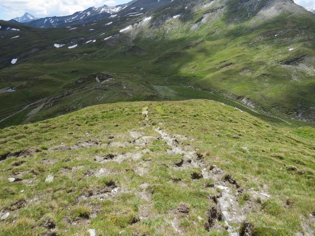 von der Kuppe geht es danach nicht zum Tomülpass hinunter,...