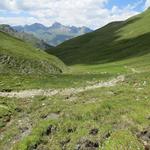 ...über Alpweiden hinunter, bis wir auf den Passweg stossen, der von der Alp Tomül zum Tomülpass hinaufzieht