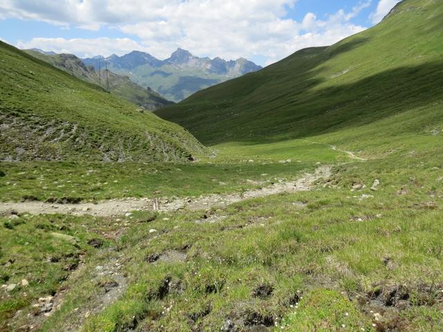 ...über Alpweiden hinunter, bis wir auf den Passweg stossen, der von der Alp Tomül zum Tomülpass hinaufzieht