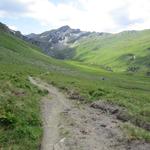 auf dem Weg zu den Alpgebäuden auf der Alp Tomül