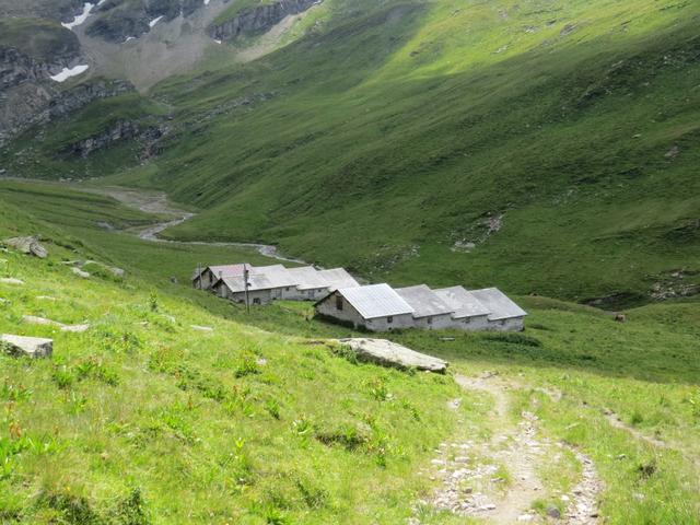 alles an diesem breiten Weg geht es nun weiter abwärts bis wir die Alp Tomül erreichen