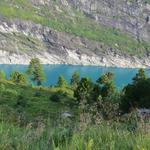 tief unter uns der tiefblaue vier Kilometer lange Zervreilasee