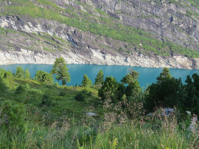 tief unter uns der tiefblaue vier Kilometer lange Zervreilasee