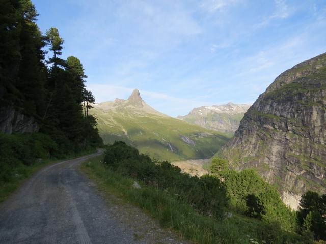 vorbei an der Brocha Hütta 1975 m.ü.M. und Punkt 1899 m.ü.M., das Zerfreilahorn immer vor Augen, laufen wir alles taleinwärt