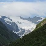 vor uns eröffnet sich nun ein imposanter Ausblick auf das wie eine Eispyramide zugespitzte Rheinwaldhorn mit dem Läntagletsche