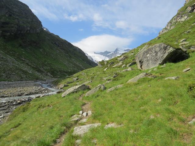 der bequeme Weg führt uns über Punkt 2016 m.ü.M. (Schäferhütte),...