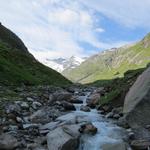 Blick von der Brücke taleinwärts Richtung Rheinwaldhorn und Läntagletscher