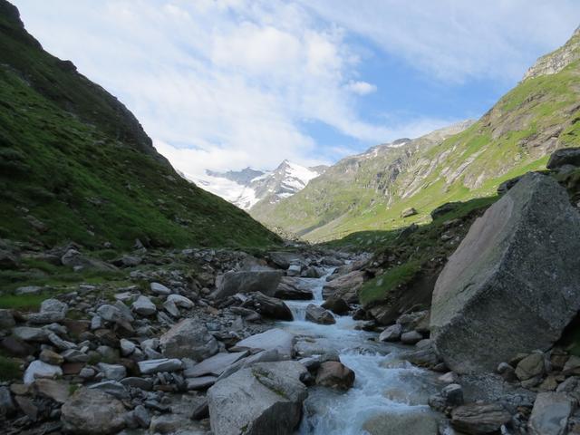 Blick von der Brücke taleinwärts Richtung Rheinwaldhorn und Läntagletscher