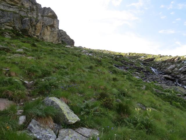 gnadenlos zieht der Bergweg aufwärts