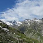 Blick zum Rheinwaldhorn, Grauhorn, Piz Jut und Pizzo di Cassimoi