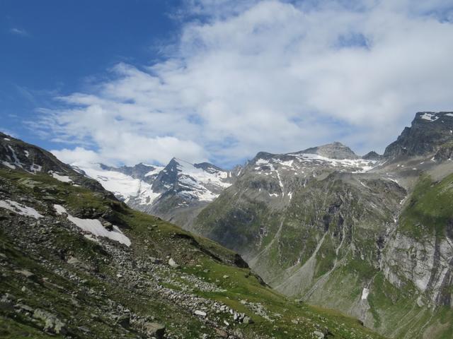 Blick zum Rheinwaldhorn, Grauhorn, Piz Jut und Pizzo di Cassimoi