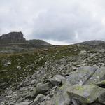 wir erreichen eine grasige Kuppe 2610 m.ü.M. Von hier ist das ganze Gebiet des Furggelti und der gleichnamige Pass ersichtlich