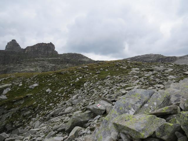 wir erreichen eine grasige Kuppe 2610 m.ü.M. Von hier ist das ganze Gebiet des Furggelti und der gleichnamige Pass ersichtlich