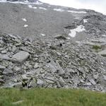 Seen und Tümpel, Gletschermoränen und Schneefelder, Magerwiesen und Tundraböden...