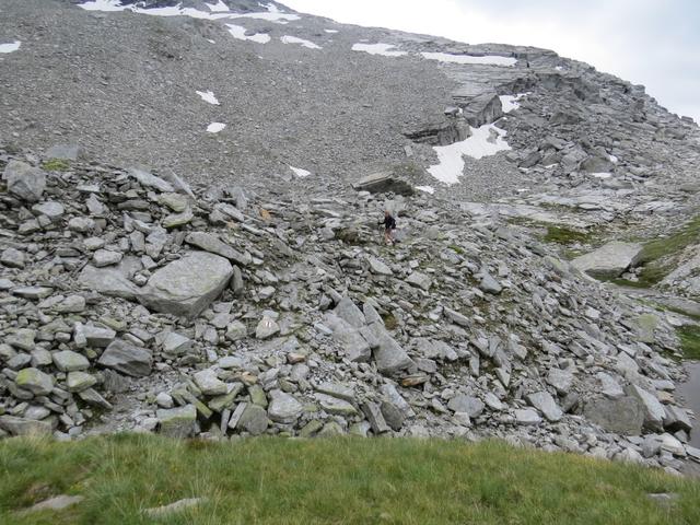 Seen und Tümpel, Gletschermoränen und Schneefelder, Magerwiesen und Tundraböden...